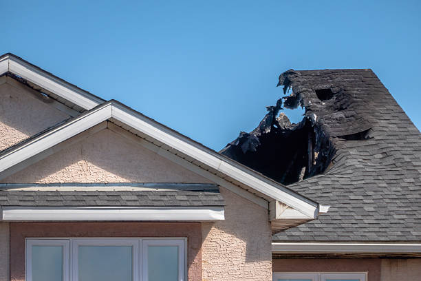 Top rated local Smoke Odor Removal specialists in Annapolis Junction, MD